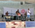 Agency Dub Collective