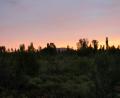 sudden sunset