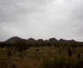 the Olgas