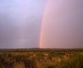 kinda made up for the rain