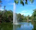 botanical gardens