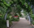 the boardwalk