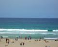 bondi surf