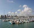 boats galore