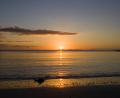 final sunset