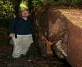 Rob and a fallen Kauri tree