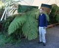 Rob and extra big fern