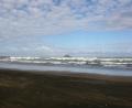 Muriwai black sand beach