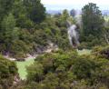 very green lake
