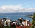 Wellington harbour