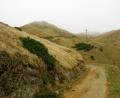 colonial knob walk