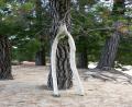 tree wishbone