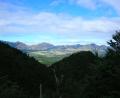 view over Hamner