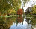 Queenstown gardens