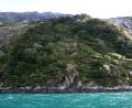 lush fjord