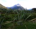 towards Mitre peak
