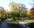 punting on the Avon!!