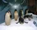 stuffed penguins