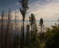 walk-view