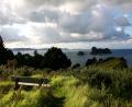 back from Cathedral Cove