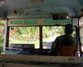on the bus