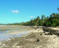 tide's out