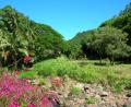 Waimea gardens