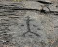 Pu'u Loa Petroglyphs