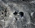 loving lava!!