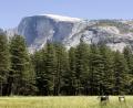 Yosemite