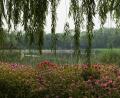 summer-palace-7