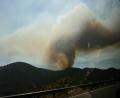 forest fire taken from car
