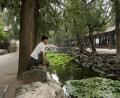 summer-palace-3