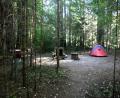our environmental camp
