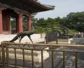 summer-palace-1