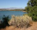 beautiful lake Cachuma