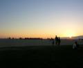 sunset over Venice beach