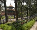 forbidden-city-7