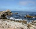 beautiful Monterrey coast
