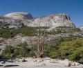 big scenery
