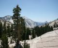 driving through Yosemite