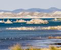 close up of Mono lake
