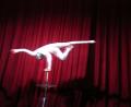 acrobats-4