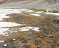 salt crystals and water