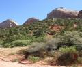 Zion Canyon