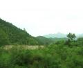 1st-a.m-view-china