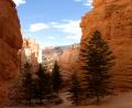 into the canyon