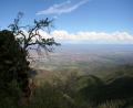 above Cottonwood