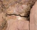Sedona snake
