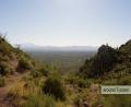 looking over the desert